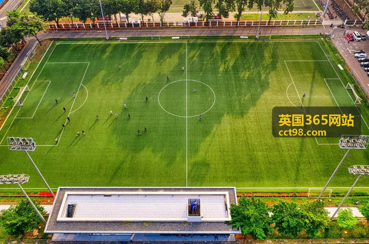 英国365网站供应链与跨境合作风险参考